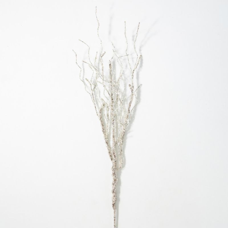 Iced Birch Spray